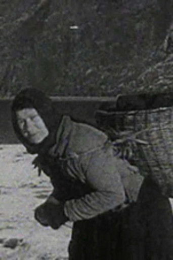 Poster for A Crofter's Life in the Shetlands