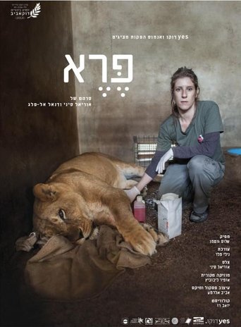 Poster for Wild: Life, Death and Love in a Wildlife Hospital