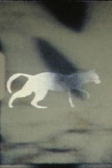 Poster for cat-e-gory