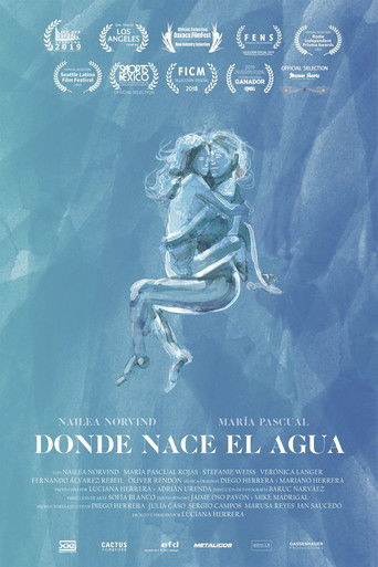 Poster for Where Water Flows