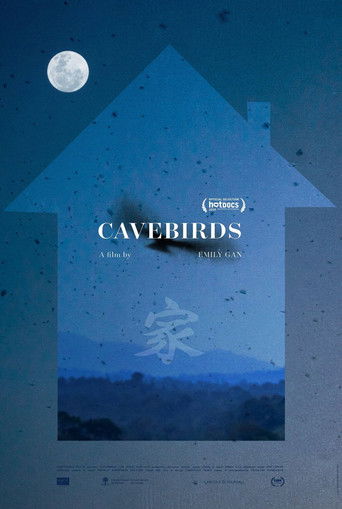 Poster for Cavebirds