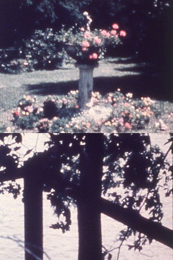 Poster for A Reticule of Love