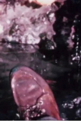 Poster for Cleansed II