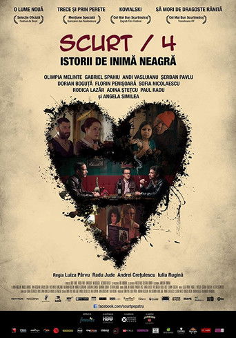 Poster for Scurt/4: Istorii de inimã neagrã