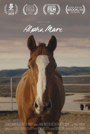 Poster for Alpha Mare