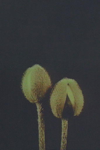 Poster for Lin­naeus’ Flow­er Clock