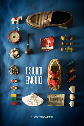 Poster for I Swam Enguri