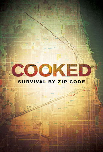 Poster for Cooked: Survival by Zip Code