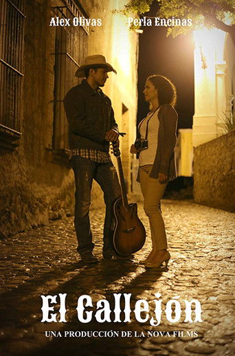 Poster for The Alley