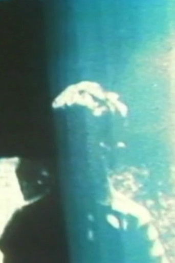 Poster for Fissures
