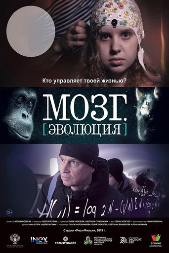 Poster for Brain. Evolution