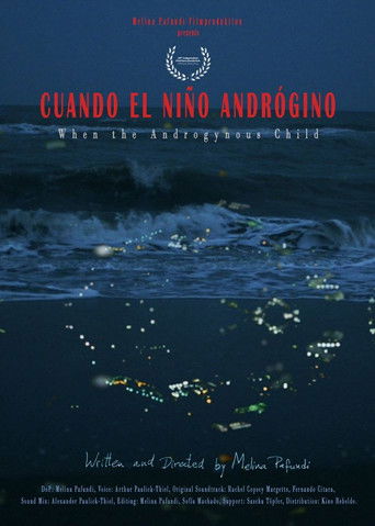 Poster for When the Androgynous Child