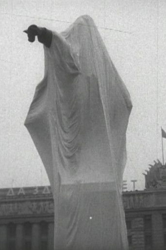 Poster for The Stone Guest