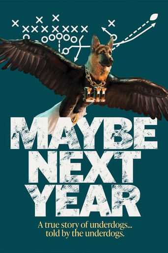 Poster for Maybe Next Year