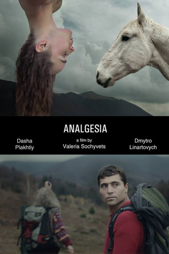 Poster for Analgesia