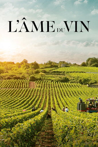 Poster for L'Âme du vin