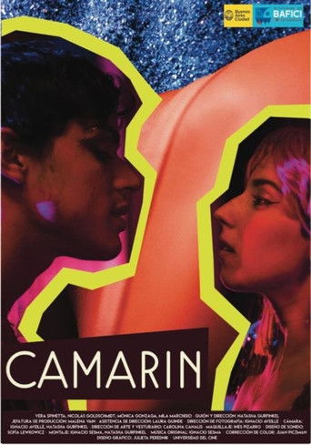 Poster for Dressing Room
