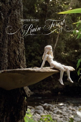 Poster for Winter In The Rainforest