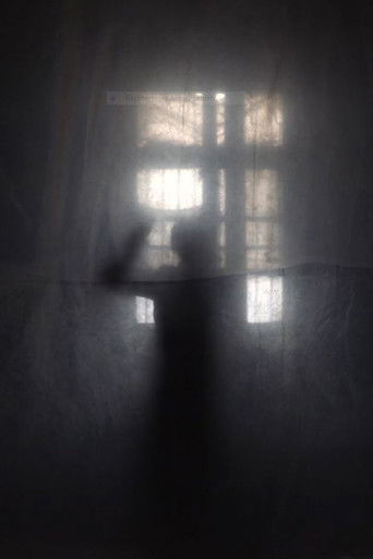 Poster for Self-Portrait: Window in 47KM
