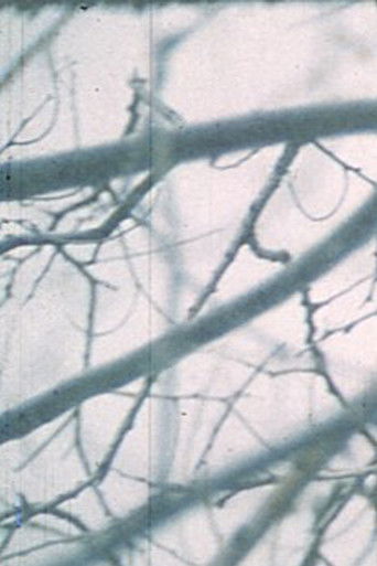 Poster for Wintergarden. Hudson River Diary Book: III