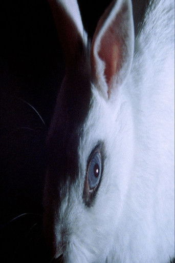 Poster for Cheshire Smile