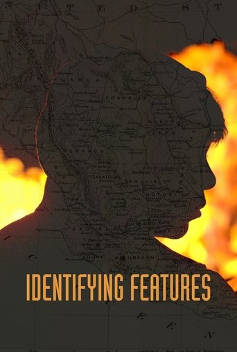 Poster for Identifying Features