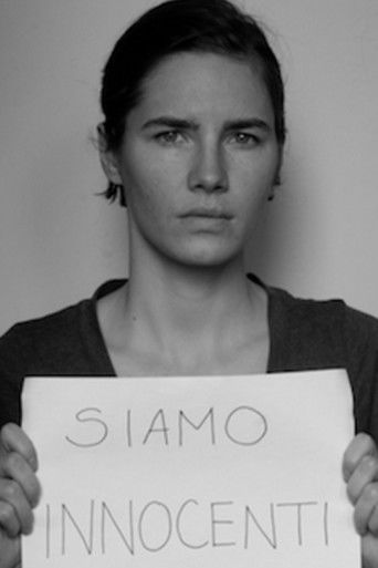 Poster for The Amanda Knox Saga