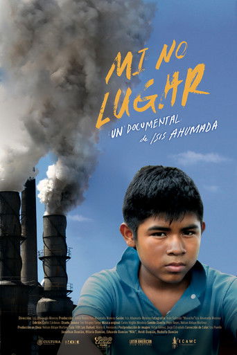 Poster for My No Place