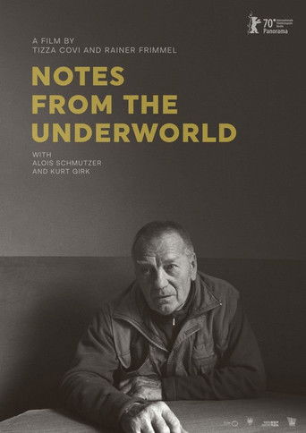 Poster for Notes from the Underworld