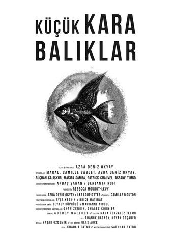 Poster for Little Black Fishes