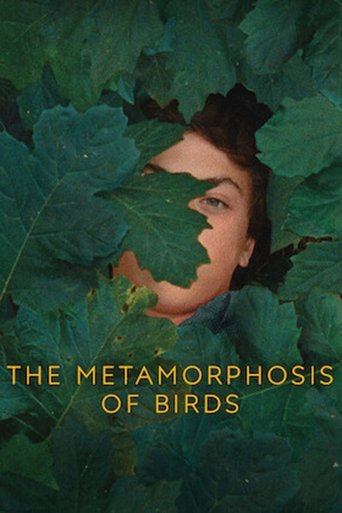 Poster for The Metamorphosis of Birds