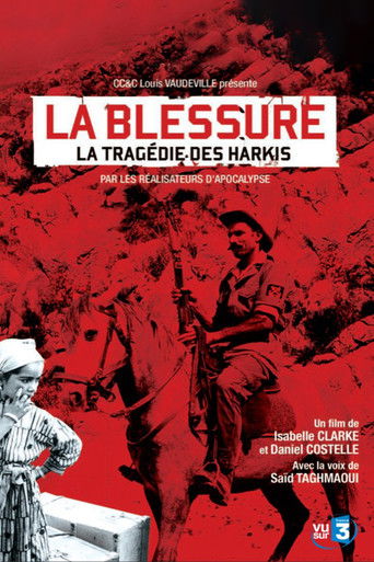 Poster for An Unhealed Wound - The Harkis in the Algerian War