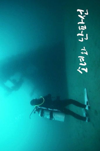 Poster for A Girl and a Shipwreck