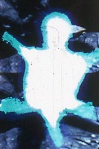 Poster for Turtle