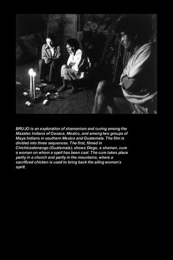 Poster for Shaman