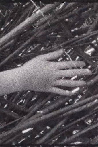 Poster for Lumen