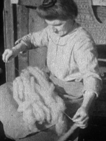 Poster for In Sheep’s Clothing