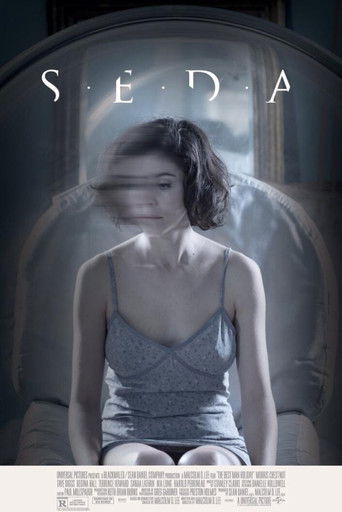 Poster for Silk