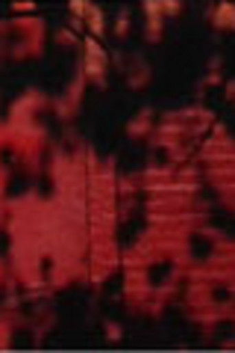 Poster for Schatten auf roter Wand