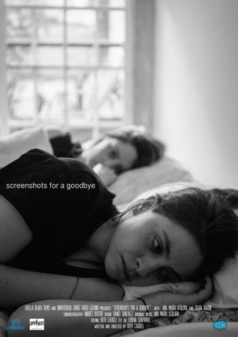 Poster for Screenshots for a Goodbye