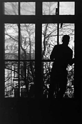 Poster for Remnant From Echo and Shadow