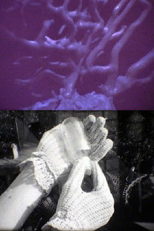 Poster for Her* Hands and His Forms