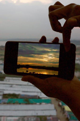 Poster for The Lake and The Lake