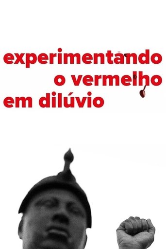 Poster for Experiencing the Flooding Red