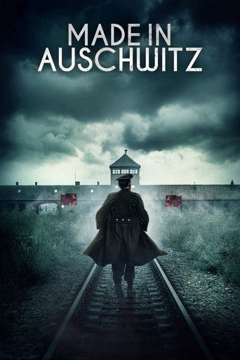 Poster for Made in Auschwitz: The Untold Story of Block 10