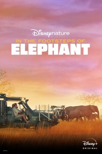 Poster for In the Footsteps of Elephant