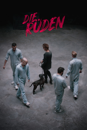 Poster for Die Rüden