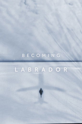 Poster for Becoming Labrador