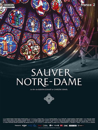 Poster for Sauver Notre-Dame