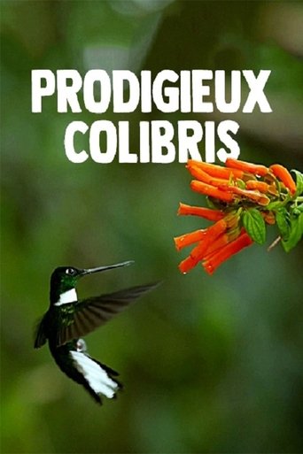 Poster for Hummingbirds: Magic in the Air
